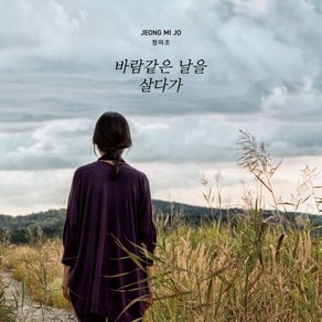 [LP] 정미조 - 바람같은 날을 살다가 [LP]