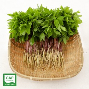 토정마루 새싹인삼 50뿌리 소(15~20cm) 친환경 무농약 새싹삼 부모님 건강 선물, 2.3g, 50개