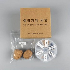 사이언스피아 여러가지씨앗(참외사과/봉숭아채송화/강낭콩/호두/벼)