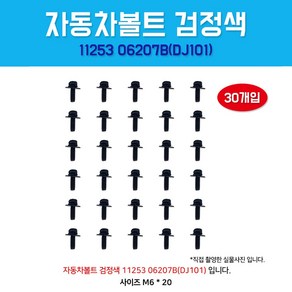 카박사 DJ101 자동차볼트 1125306207B 검정색 30개입 와셔&볼트 스프링너트 검정색볼트, 30개