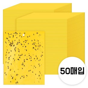 그린스하비 주방 하수구 날파리 초파리 트랩 끈끈이 가정용 스티커형, 150g, 50개