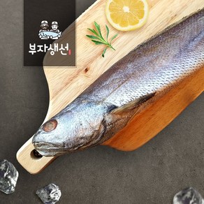 국내산 제수용 반건조 참민어(망미중앙시장 부자생선), 1개, 참민어 42cm 1마리