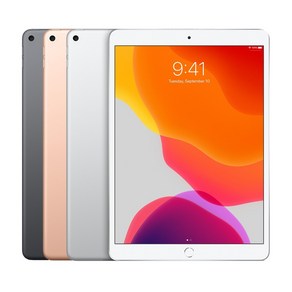 Apple 2019년 iPad Ai 10.5 3세대, Space Gay, 256GB, Wi-Fi+Cellula