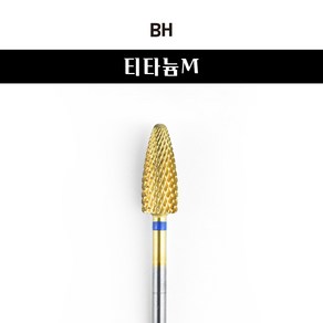 BH 티타튬 M 네일 비트, 혼합색상, 1개