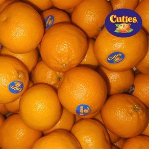 [팜쿡] 만다린귤 큐티스 만다린 cuties 4kg 48-60과내외, 1개, 단품