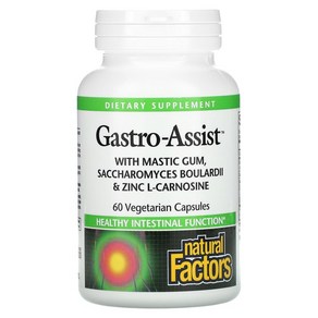 네추럴팩터스 Natural Factors Gastro Assist Zinc Carnosine 60 장 아연 비피도 마스틱 검