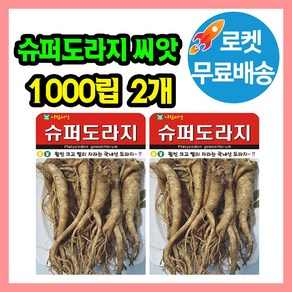 슈퍼도라지 씨앗 (합 2000립) 도라지 종자, 2개
