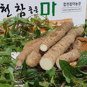 합천 알뜰마 못난이마 자투리마 소 5 kg, 1개