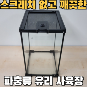 아스티렙 크리스티드 게코 도마뱀 유리 사육장 파충류 은신처, 투명, 1개