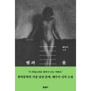 뱀과 물:배수아 소설, 문학동네, 배수아