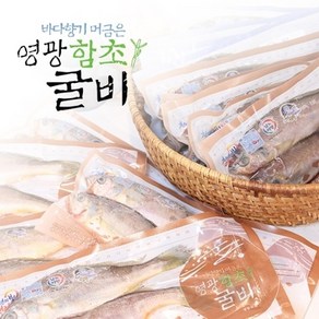 기타 [연애]영광법성포 함초진공굴비 30미(20~22cm내외 마리당80g), 30개, 단품