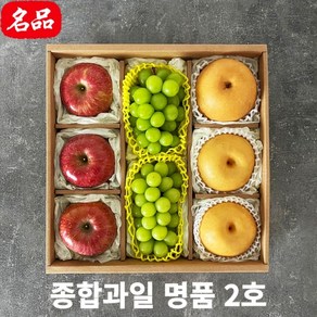 나주 배 햇 꿀 신고배 선물세트 가정용실속 중대과, 1세트, 고급 혼합과일2호(배사과샤인머스캣)