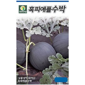 (DN)흑애플수박 5립, 1개