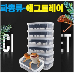 파충류알통 도마뱀부화 파충류미니부화기통, 1개