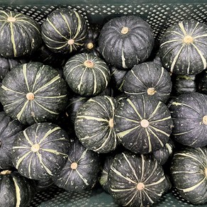 [새벽농장] 포근포근 진짜 밤맛나는 국내산 햇 미니밤호박 특품, 1박스, 1kg(3~6개)