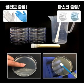 세균배양배지 만들기 세트 대장균 + 글로브 랜덤발송, 1세트