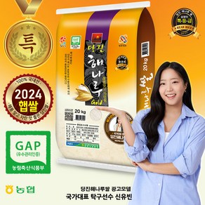 [출고당일도정] 2024년산 당진 해나루골드쌀 [삼광미 특등급], 특등급, 20kg, 1개