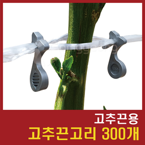 고추끈고리 / 고추끈용 / 300개