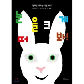 눈을 크게 떠 봐! : 펼치면 커지는 색깔 세상, 세드릭 라마디에 글/뱅상 부르고 그림/김현아 역, 한울림어린이