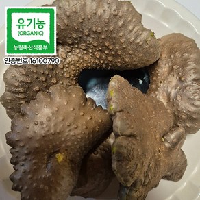 왕산농원 유기농 직접재배 열매마 하늘마 덩굴마, 1박스, 5kg