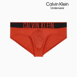 [정품]Calvin Klein Undewea 드로즈 캘빈클라인 남성 인텐스 파워 마이크로 쿨링 힙브리프 (NB3835-XBZ) 남자선물 속옷