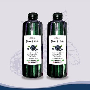 900mlx2병 블루베리엑기스 증정(레시피+계량컵), 2개, 900ml