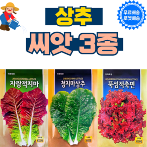 상추 씨앗 3종 세트 적치마 청치마 뚝섬적축면 씨앗 종자 상추씨, 1개