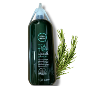 [[[두피모발케어]]] 폴미첼 티트리 스페셜 샴푸 PAULMITCHELL TEATREE SPECIAL SHAMPOO 쿨링효과 미용실추천 상쾌한느낌 시원한향 민트향