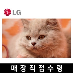 LG 75인치 퀀텀닷 4K 스마트 UHD QNED TV 75QNED83 넷플릭스 유튜브, 고객직접설치, 스탠드형