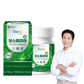 베오비 보스웰리아정 750mg 30정 1박스