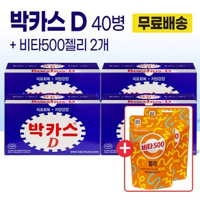 동아제약 박카스 D 100ml 40병, 40개