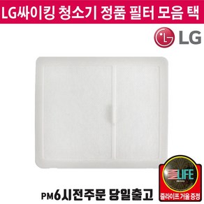 LG전자 싸이킹 청소기 정품 모터 필터 모음 (즐라이프 거울 증정), 1개, 망사 필터A01