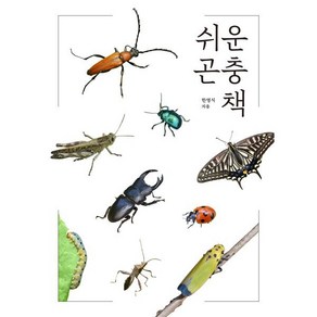 쉬운 곤충책, 진선BOOKS, 한영식 저