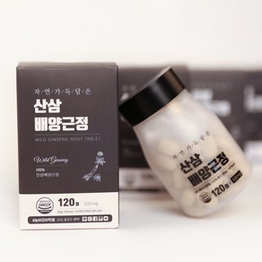 산삼 배양근정 500mg X 120정, 60g, 3개