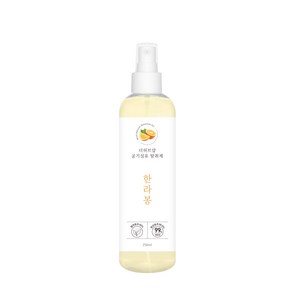 더허브샵 공기&섬유 탈취스프레이_신발장 옷장 이불 침구 간편하게사용, 250ml, 1개