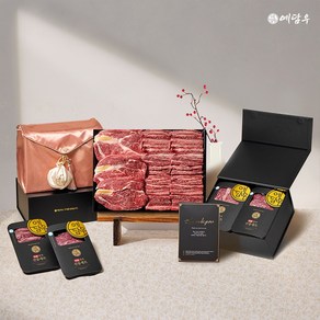 예담우 한우 프리미엄B세트 1++(7) 갈비살+갈비살+등심+등심 총1kg 한우 선물 세트 소고기 구이용, 1세트