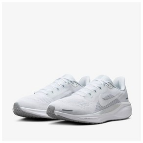 [나이키] AIR ZOOM PEGASUS 41 FD2722-102