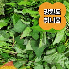 [강원도 평창] 국내 자연산 취나물 1kg, 1개