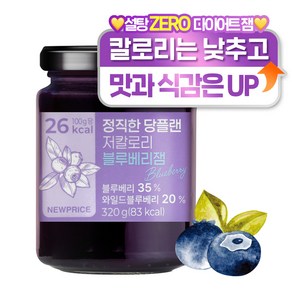 뉴프라이스 정직한 저당 저칼로리 블루베리잼, 1개, 320g