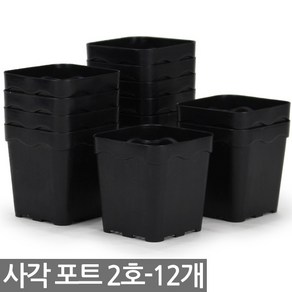 사각 포트 2호 12개 - 모종판 연결포트 모종 다육포트 트레이 재배 씨앗 연결포트 묘목 모판 화분 다육이, 03_세인_사각포트 연결구(20구)