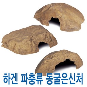 하겐 파충류 은신처 중, 1개