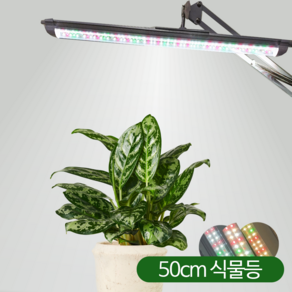 풀나옴 식물등 식물조명 LED 다육이 제라늄 성장 생장등 재배램프 바형, 집중형, 1개, 전구색