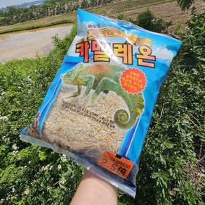 남도그린 벵에헌터 카멜레온 빵가루 870g 1봉, 1개