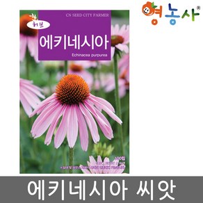 영농사 에키네시아씨앗 100립 자추국 다년생 국화과, 1개