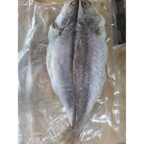 완도 자연산 반건조 민어 특대(50cm 이상 생물기준1kg 이상) 대(30cm 2마리), 30cm 2마리, 1개, 300g