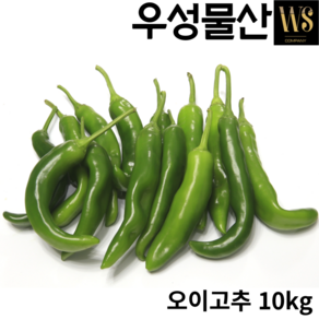 아삭한 오이고추 5kg 10kg 2종, 오이고추 10kg, 1개