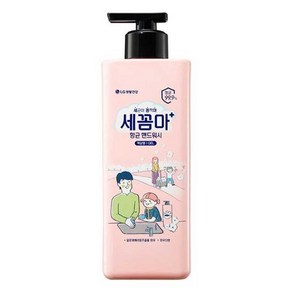 세균아 꼼짝마 항 균 핸드워시 480ml 용기 파우더향 [WB134CC]