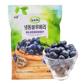 뉴뜨레 냉동블루베리 1kg 무가당