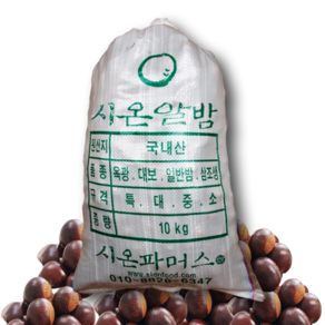 [시온견과] 알밤(대)20kg 24년 햇밤