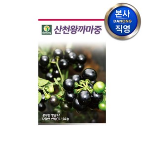 산천 왕까마중 씨앗 50립 . 야채 채소 텃밭 파종 재배 주말 농장 씨 종자